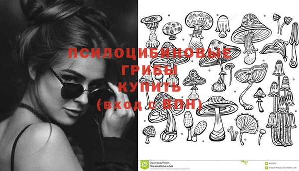 скорость Бронницы