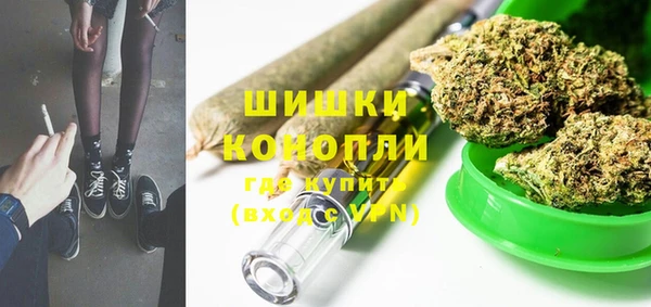 тгк Бородино