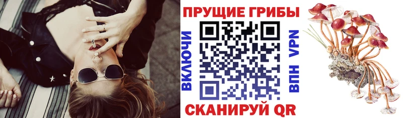 Псилоцибиновые грибы прущие грибы  Купить где  Балабаново 